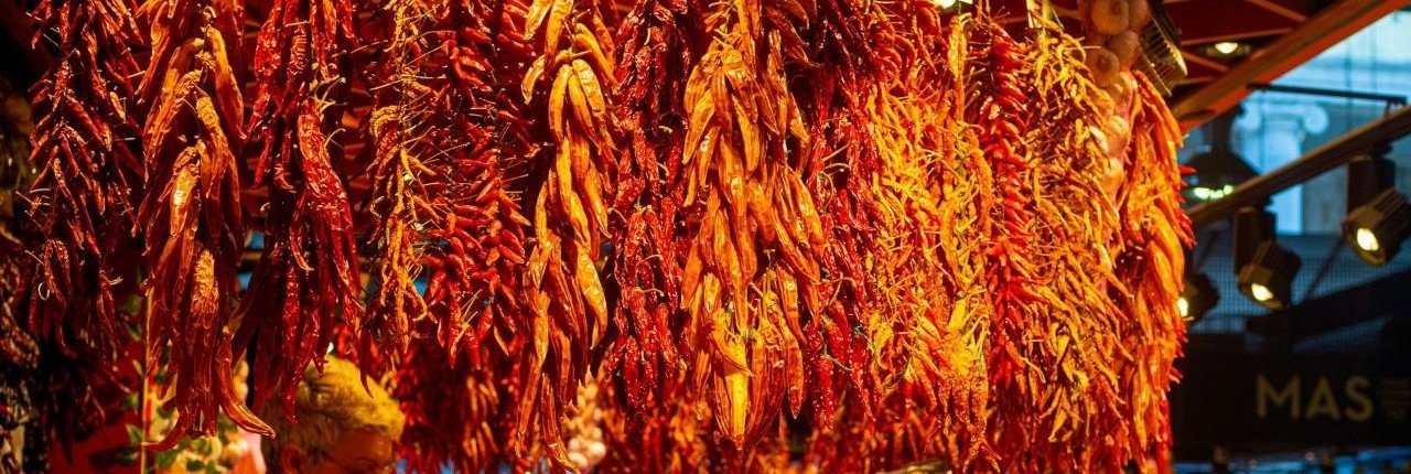 Dried peppers and spices hanging at a covered market stall in Spain