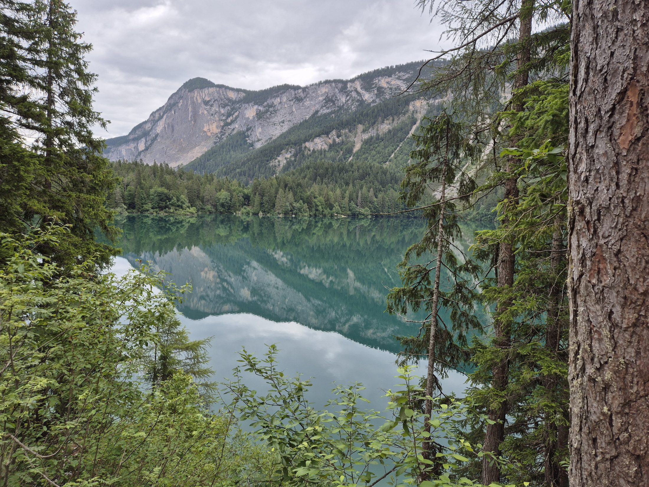 Lac alpin entouré de sapins dans le Nord de l'Italie