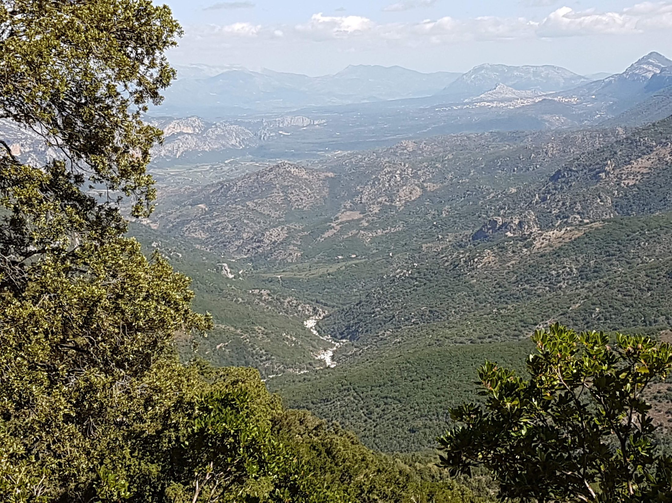 Vallée sauvage et maquis dans l'arrière-pays de la Sardaigne