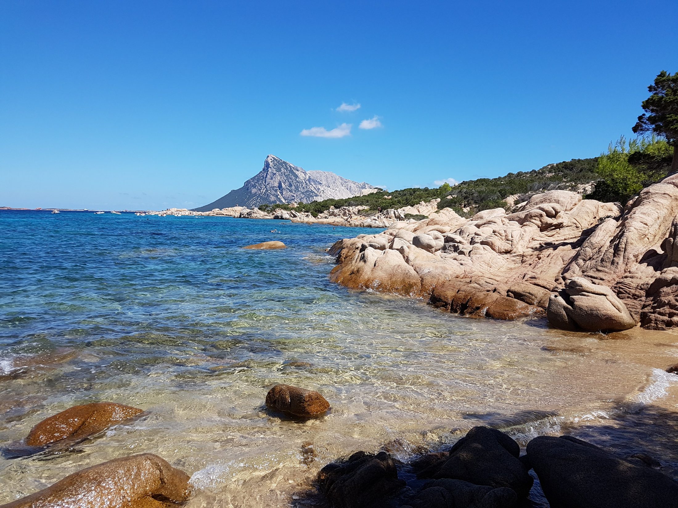 Crique de Sardaigne, eau turquoise et l'île de Tavolara au loin